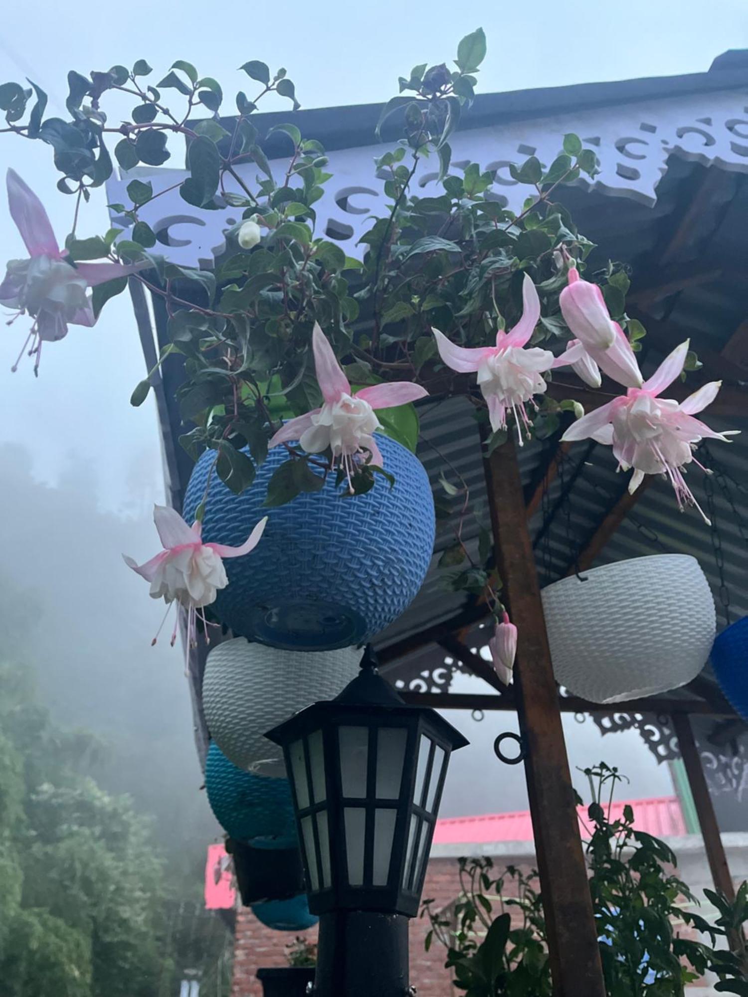 Shalom Inn Home Stay Dárdžiling Exteriér fotografie