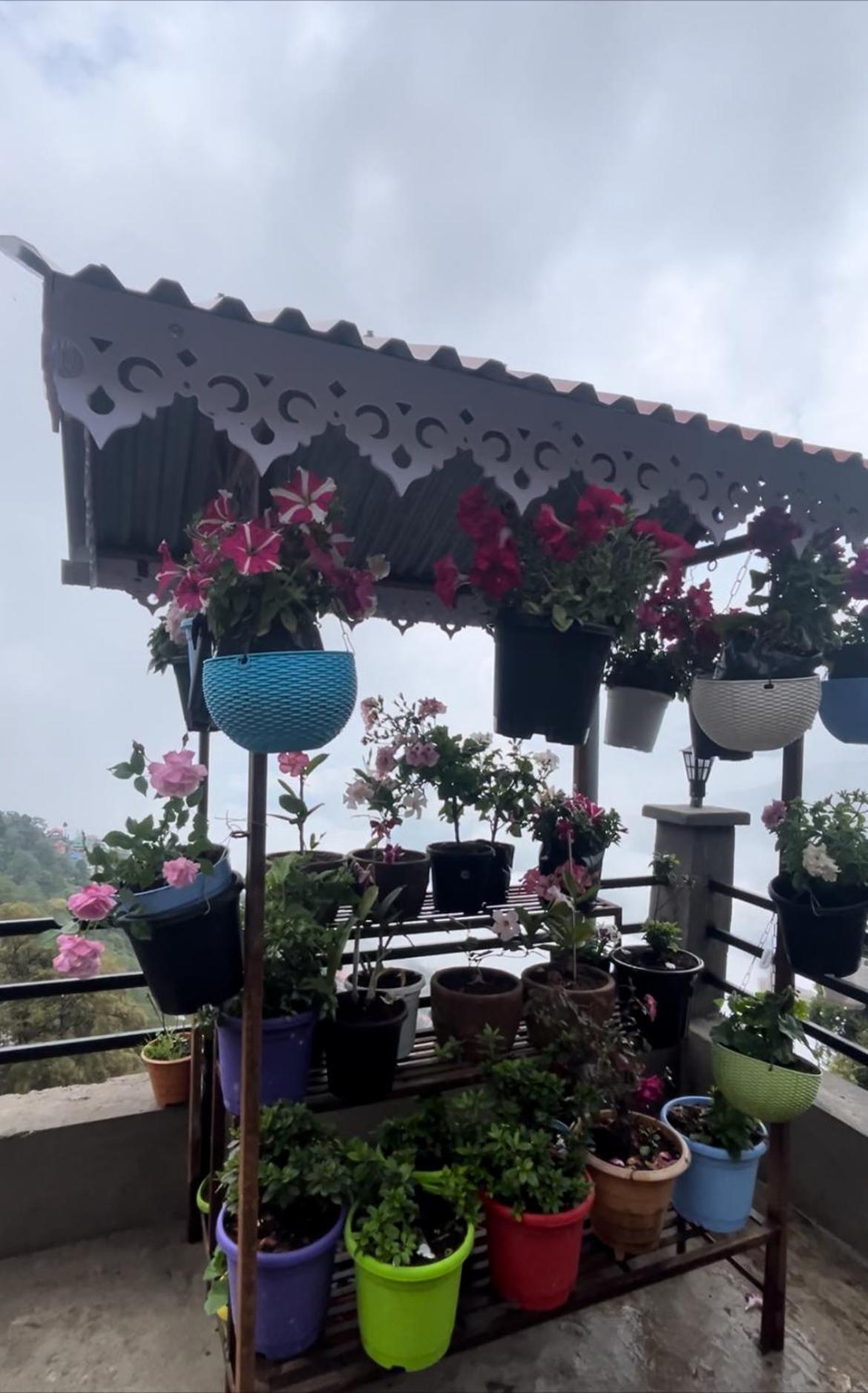 Shalom Inn Home Stay Dárdžiling Exteriér fotografie